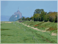 Vue depuis Cherrueix  (35) vers le Mont Saint Michel