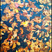 Fall Pattern