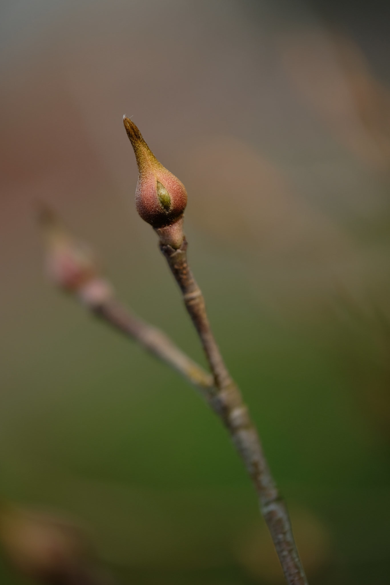 DSCF5771