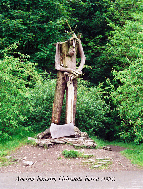 Ancient Forester, Grisedale Forest (Scan from 1993)