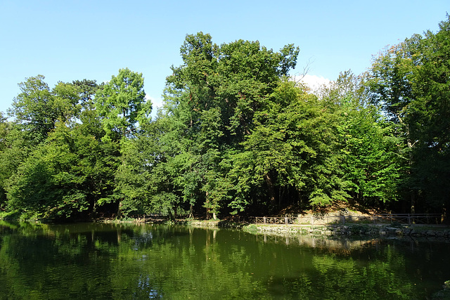 Laghetto Di Villa Reale