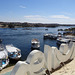 River Nile At Aswan