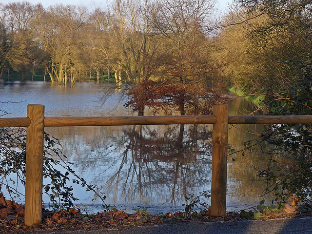 La Loire en crue