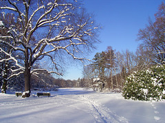 Winter im Chemnitzer Stadtpark 2009