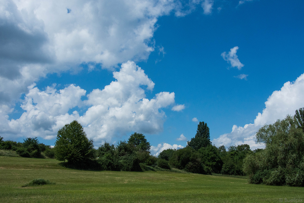 Winkelwiesen am Untersee (© Buelipix)