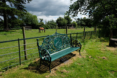 Hinxworth Church Yard