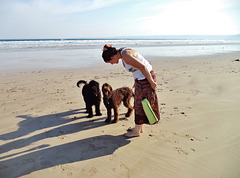 doggies at the beach