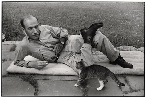 Chat. Henri Cartier-Bresson