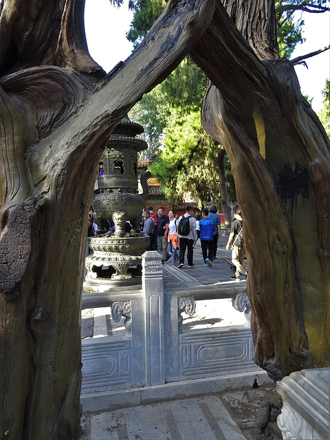 Forbidden City, Imperial Garden_1