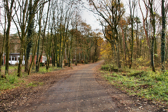 Haardgrenzweg (Oer-Erkenschwick) / 1.12.2018