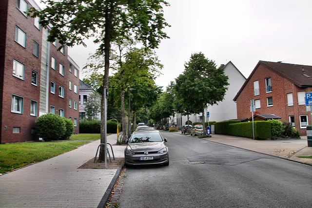 Hertener Straße (Gelsenkirchen-Resse) / 25.07.2022