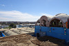 View From The Roof Of The Crocodile House