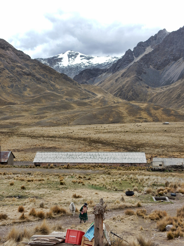 Andean scene