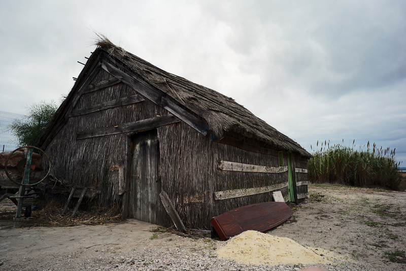 Carrasqueira, Shed