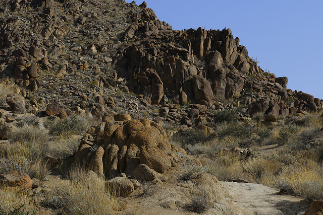 Joshua Tree National Park