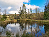 The Bog, Shropshire.