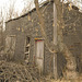 shed and tree-Ardill