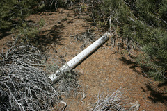 IMG 5350