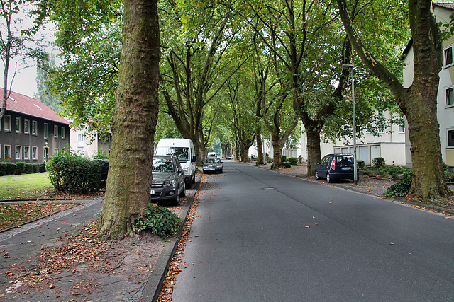 Landgrafenstraße (Wanne-Eickel) / 26.08.2017