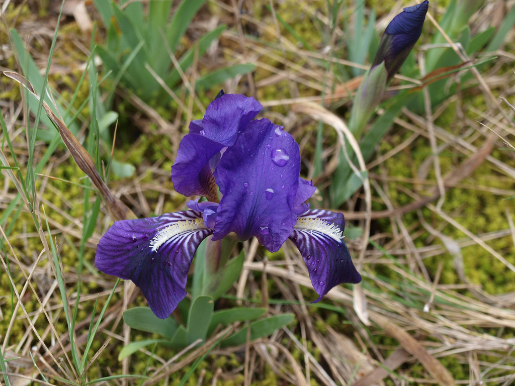 P3188789