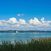 bei Horn am Untersee - Bodensee (© Buelipix)