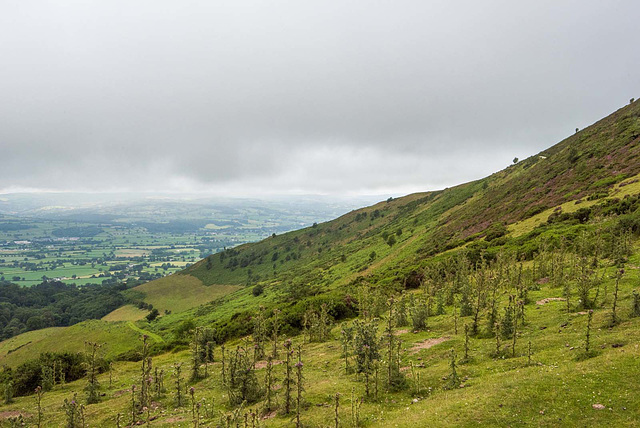 Moel Famau landscape