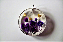 Purple flowers with gold hearts