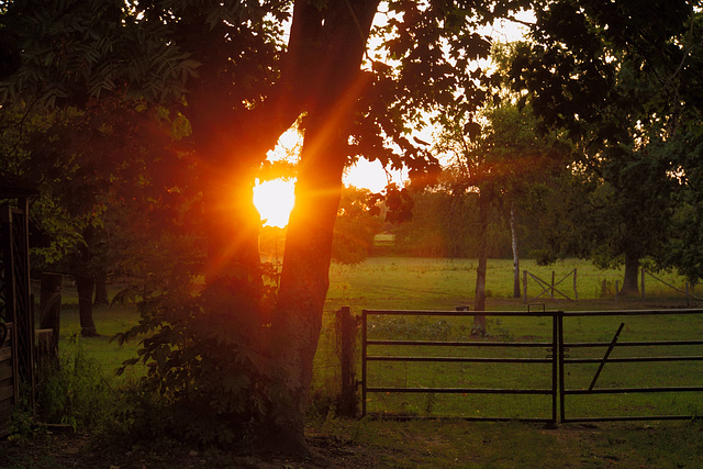 Sonnenuntergang