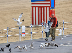 EOS R7 Peter Harriman 14 53 28 10041 gullsPromCouple dpp