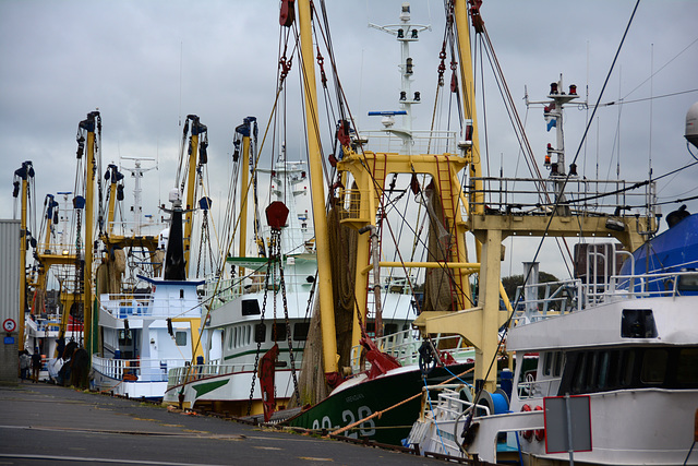 Fishing ships at IJmuiden