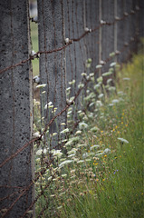 Die Natur kennt keine Grenzen