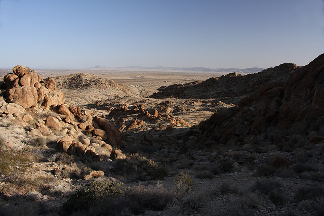 Joshua Tree National Park