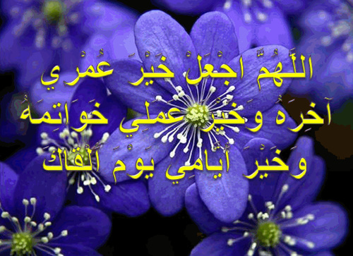 d9325a898b4835bd777b638018c389ea