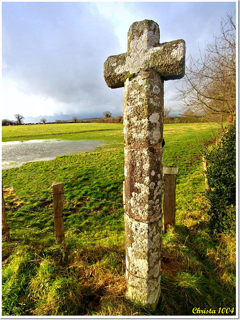 Recouverte de lichen