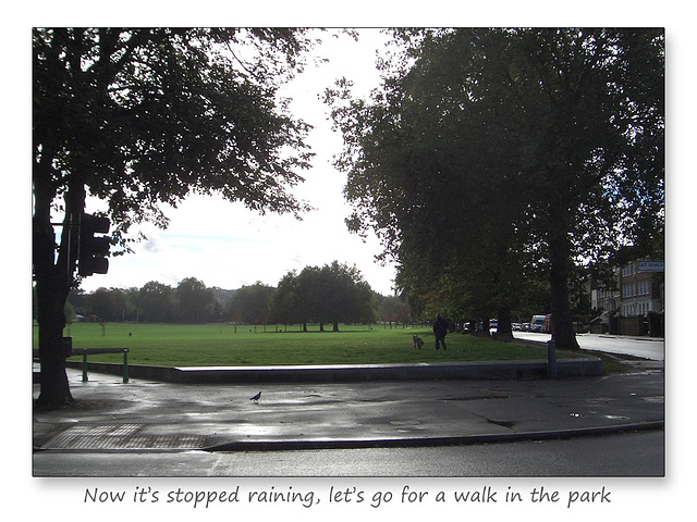 Peckham Rye as it dries up - 20.10.2006