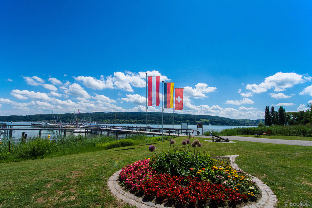 bei Horn am Untersee - Bodensee (© Buelipix)