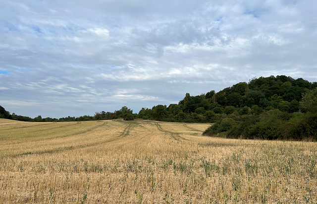 DE - Ettringen - Auf dem Vulkanpfad