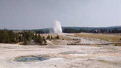 Faithful Geyser