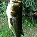 Bucketmouth Bass