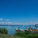 bei Horn am Untersee - Bodensee (© Buelipix)