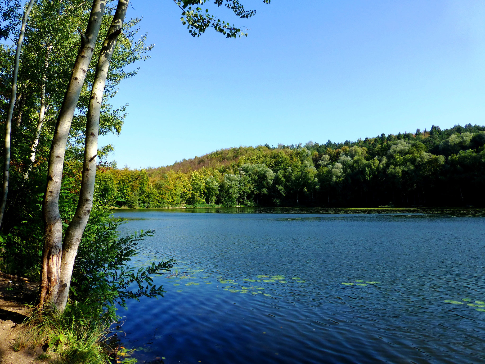 DE - Brühl - Obersee