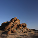 Joshua Tree National Park