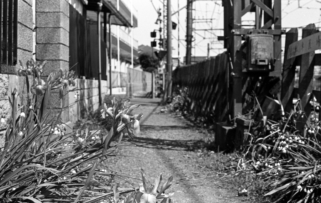 Path along the railway track