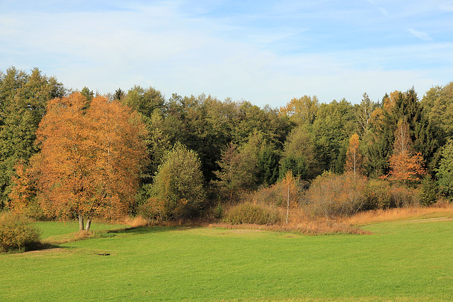 Herbst in Oberschwaben