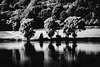 Serenity