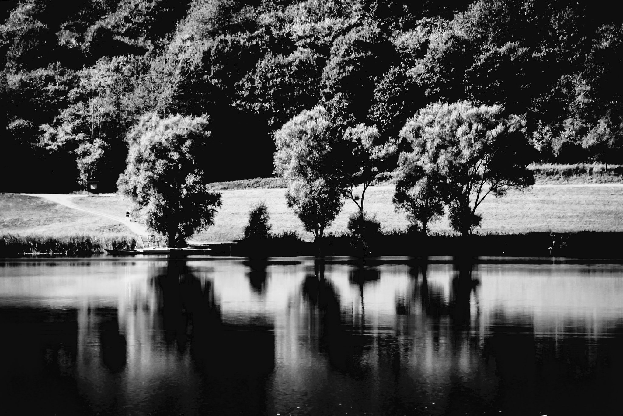 Serenity