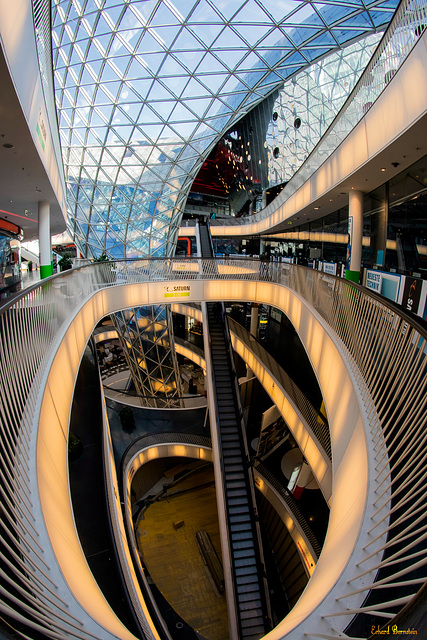 Die Rolltreppe nach oben