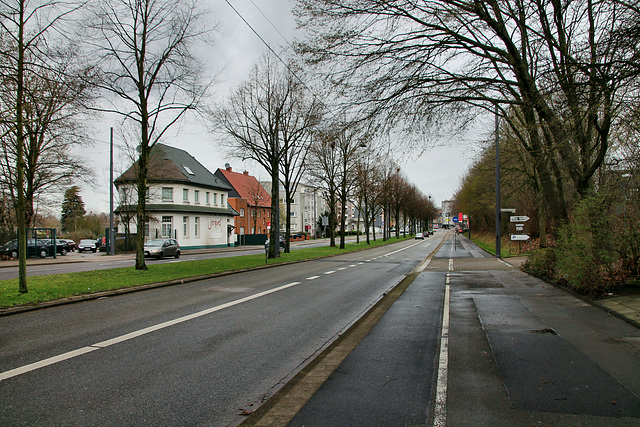 Polsumer Straße (Gelsenkirchen-Buer) / 9.03.2019