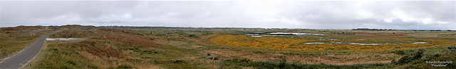 Bike Netherlands/  Texel