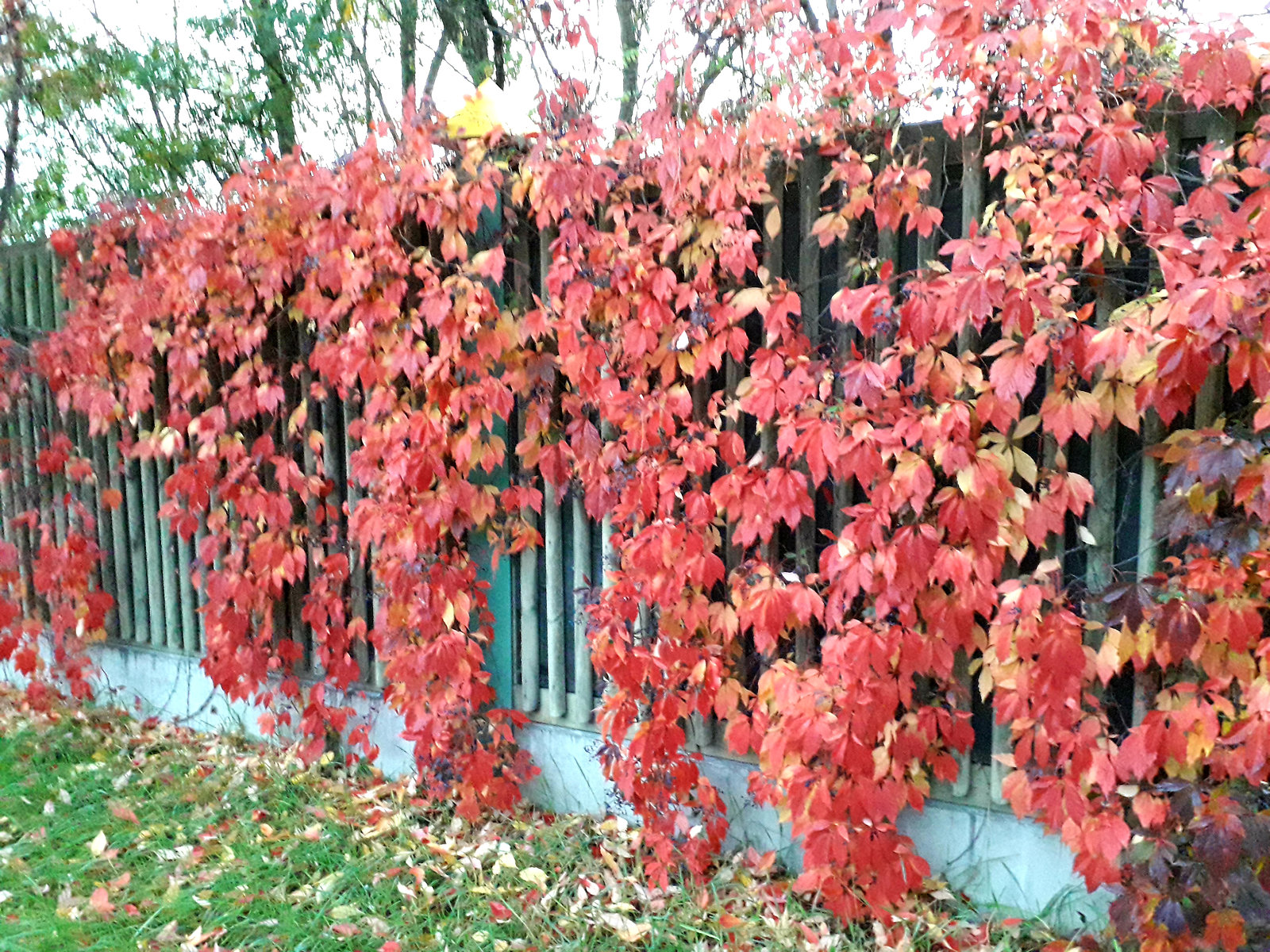 Herbst in Berlin